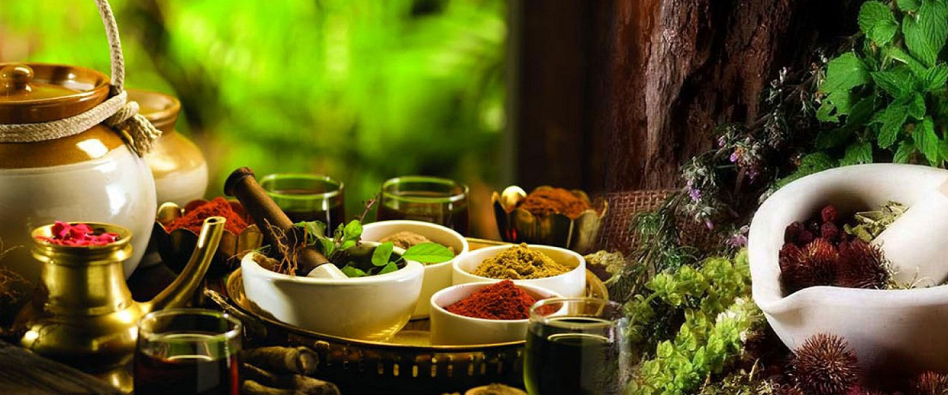 Ayurvedic Treatment in Pimpri Chinchwad, Pune India