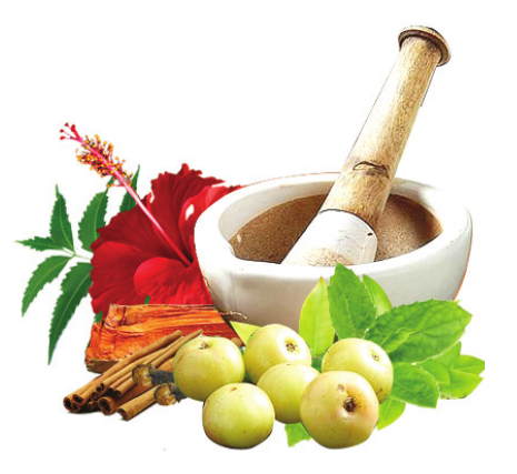 About Ayurveda